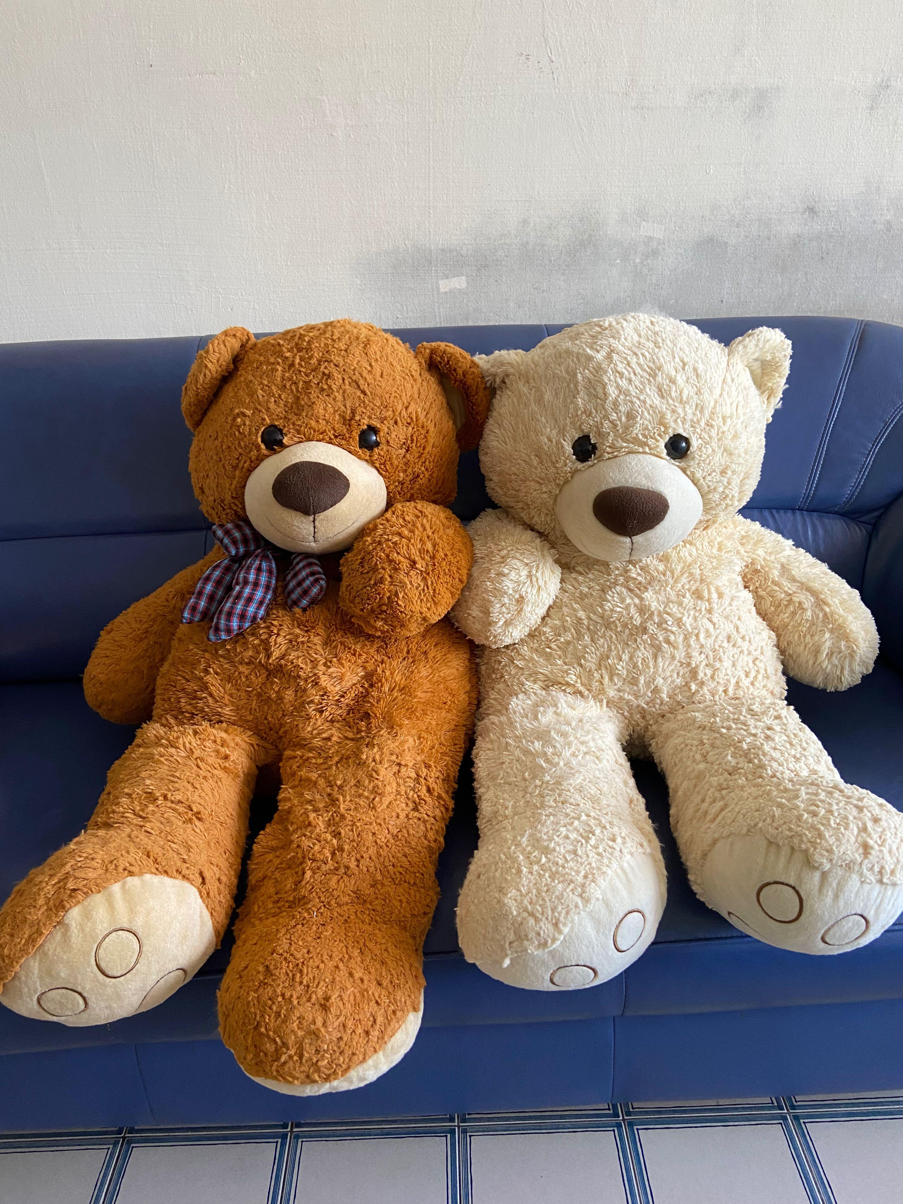 where do they sell big teddy bears