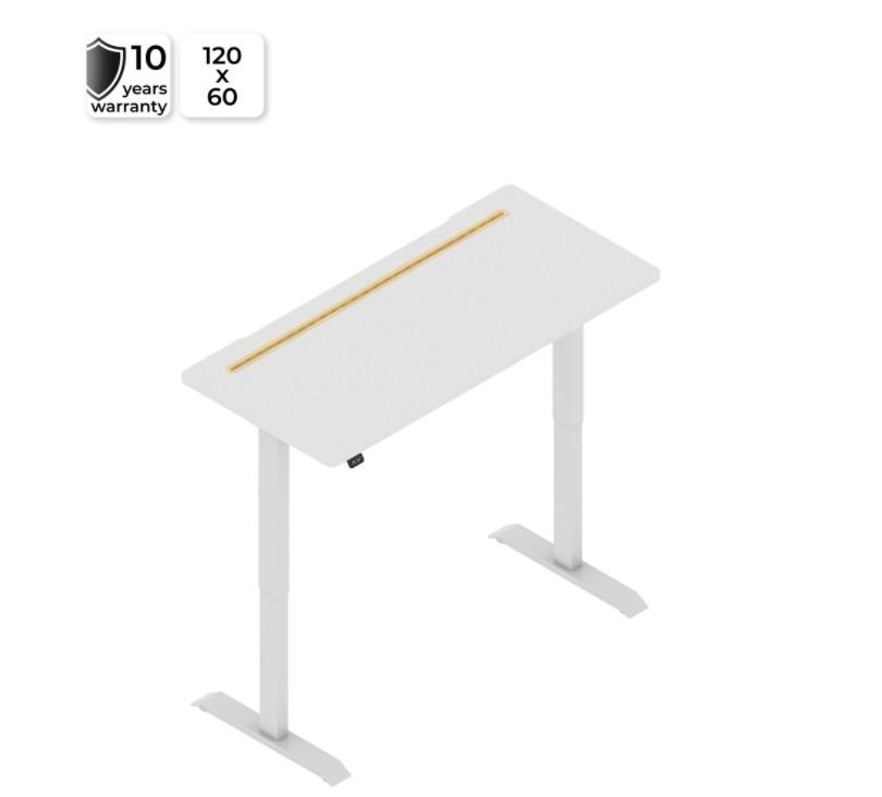 Everdesk + Lite Standing Table Adjustable Table Study Table Work