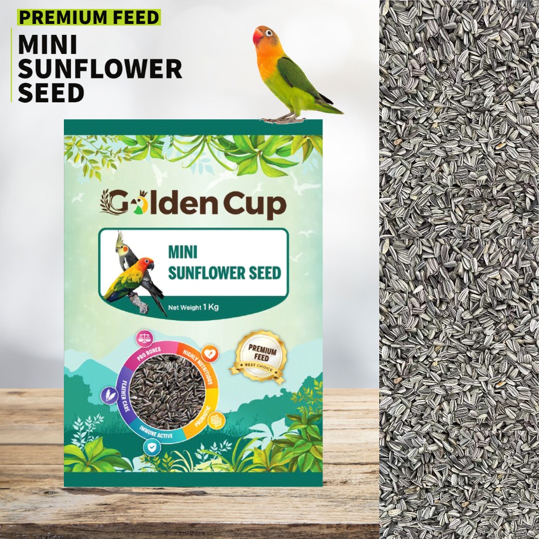 Mini Sunflower Seed Premium 1kg Bird feeds Golden Cup, Pet