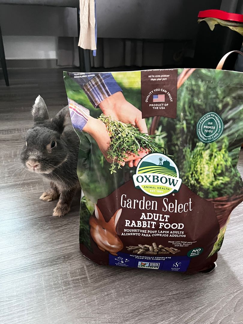 Oxbow garden select adult rabbit food sales