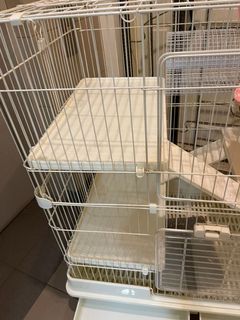 (Category: ) located in . Submitted by 5751570 (Listing ID 1177358847, Image 1). Description: .