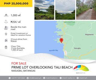 For Sale: Prime Lots in Maya Maya Nasugbu Batangas Overlooking Tali Beach