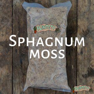 Sphagnum moss 100gr/50gr