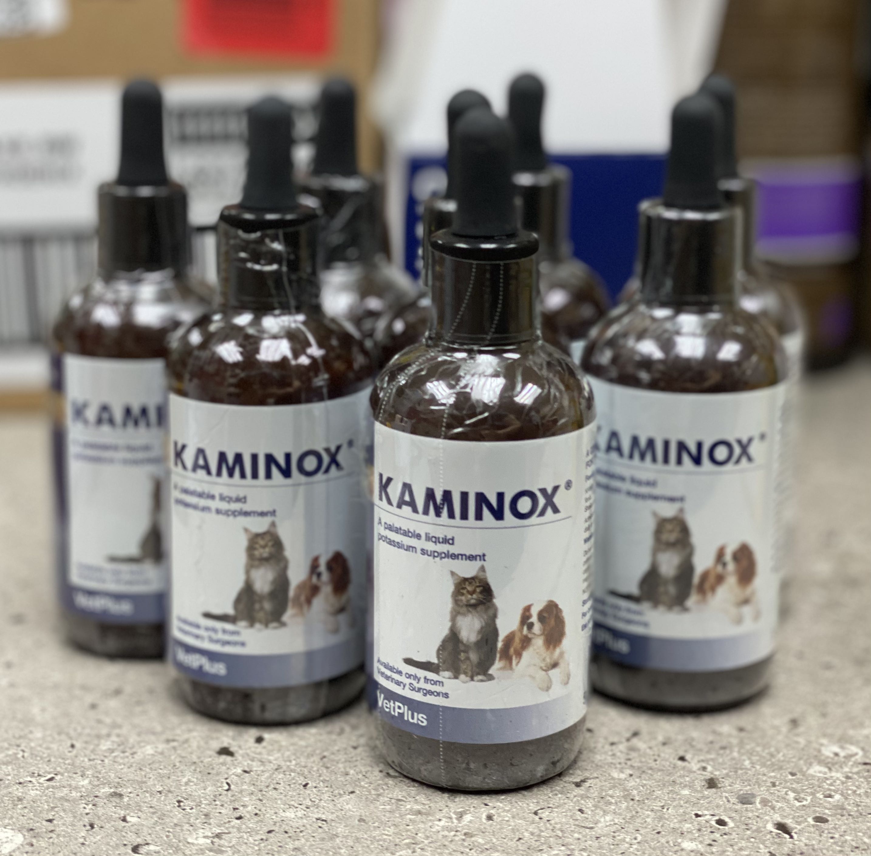 Kaminox for cats top