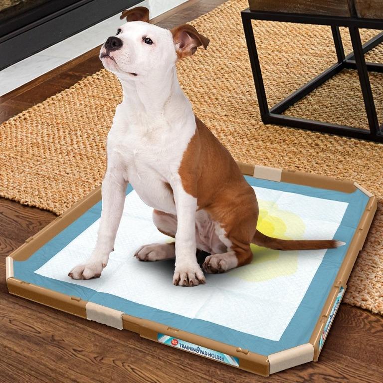 Best puppy deals pad holder