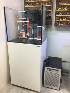 （分類：）位於 。 由 aqua13d 提交（商品編號 1177284674，圖片 1）。簡介： 。