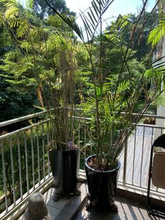 (Category: ) located in . Submitted by saralh (Listing ID 1177466707, Image 1). Description: .