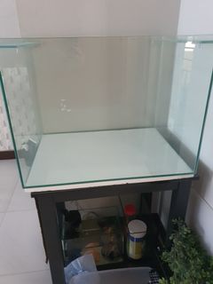 (Category: ) located in . Submitted by shanshan21 (Listing ID 1177499070, Image 1). Description: .
