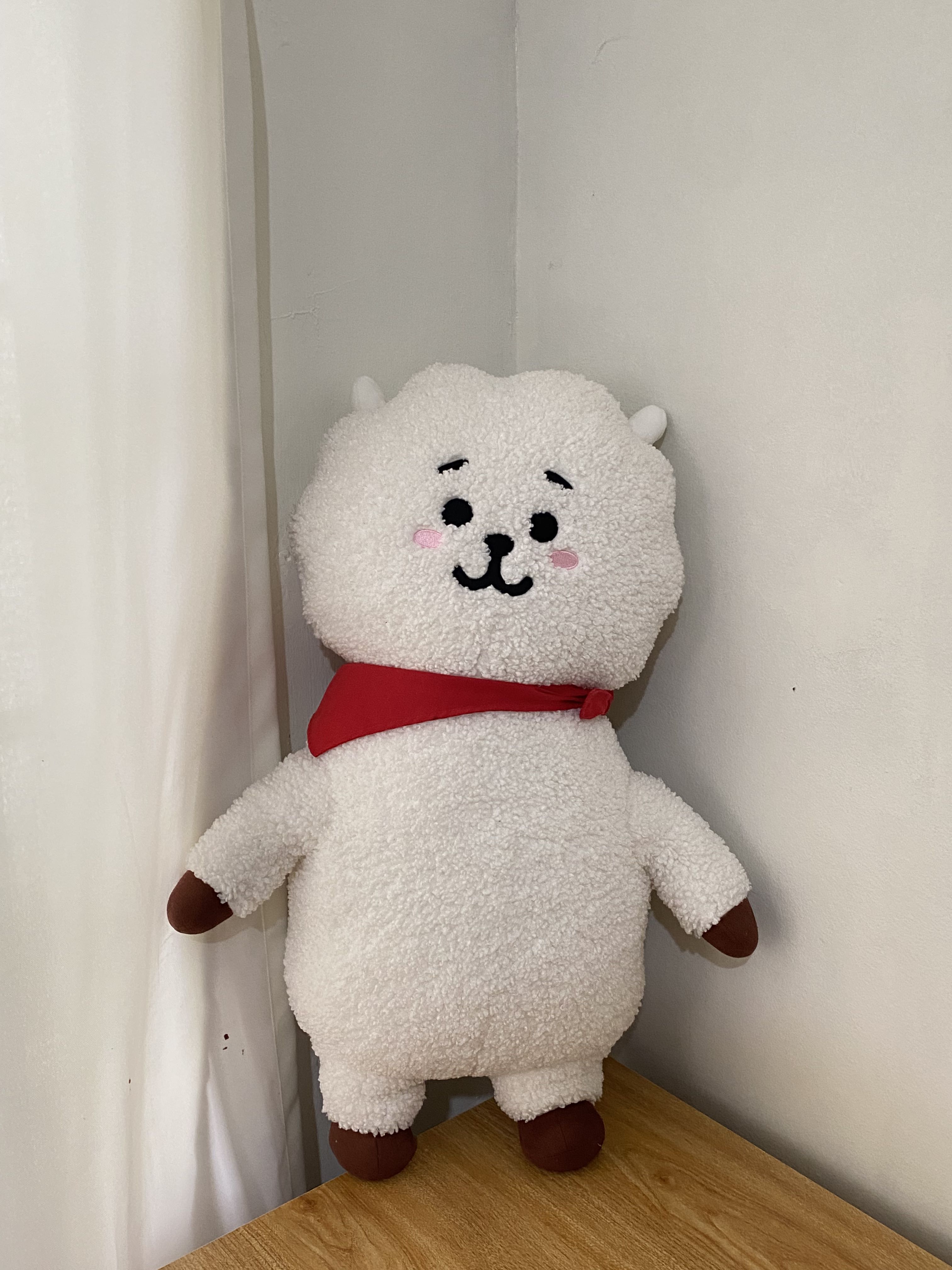 BTS BT21 RJ Jumbo Standing Doll – Kpop Exchange