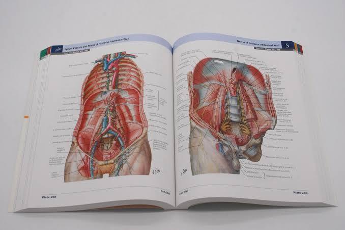 Buku Kedokteran Atlas Anatomi Manusia / Atlas of Human Anatomy by Frank
