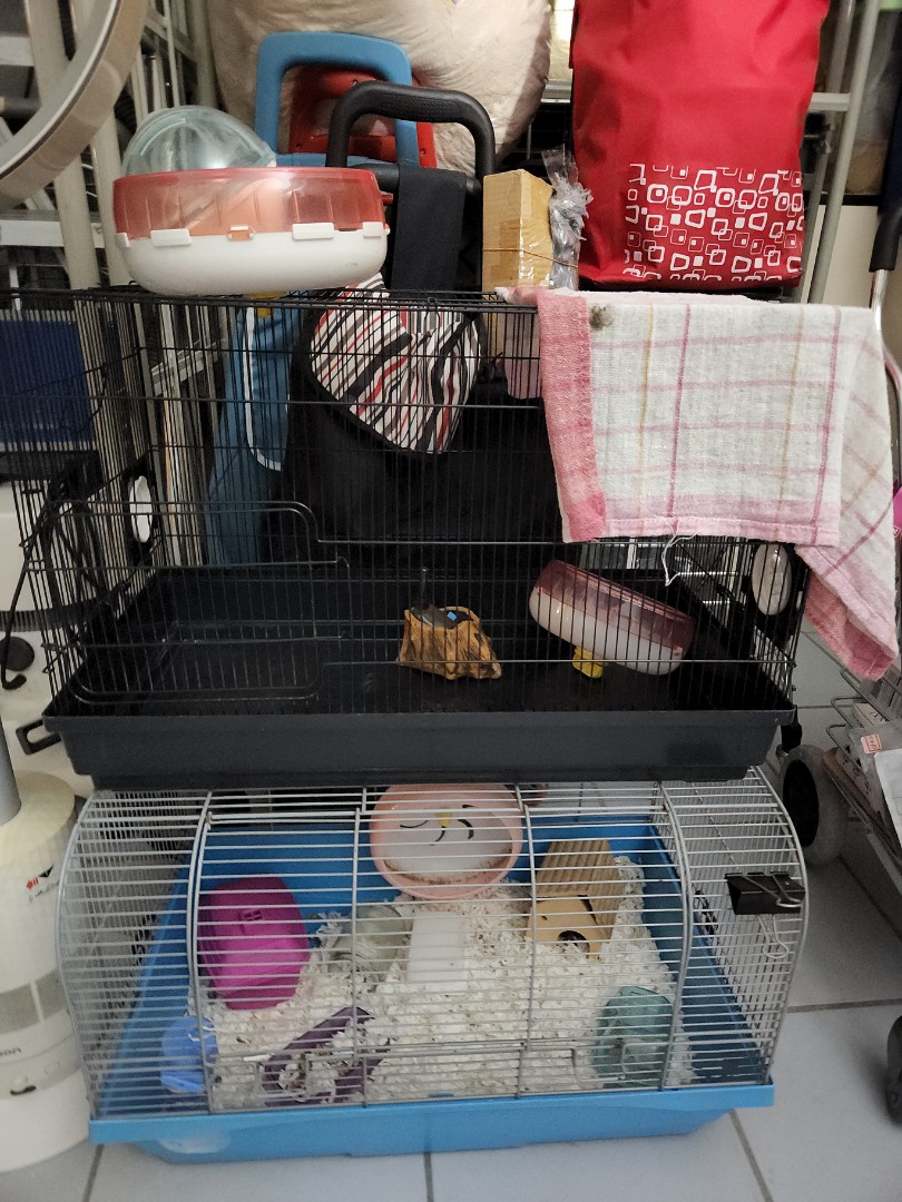 comfy house hamster cage