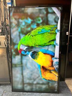 LG 49” 4K UHD Smart TV - 1 Month Warranty
