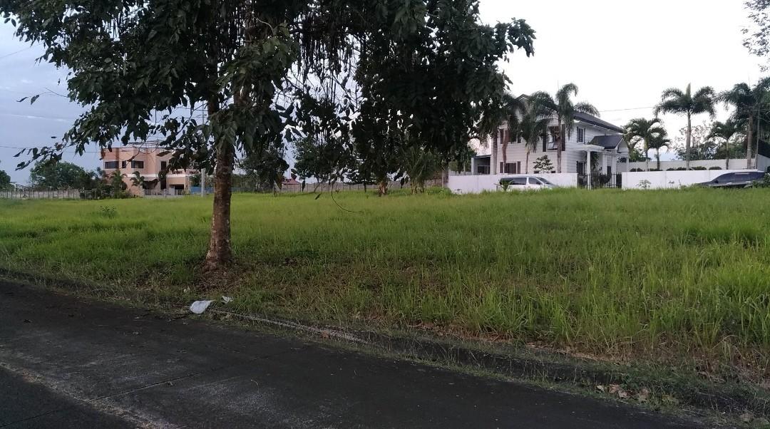 Metrogate Silang Estates Cavite Phase 2B Vacant Lot 330 Sqm., Property
