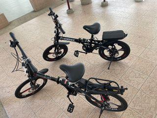 Phoenix 7-speed Variable Speed with Suspension Foldable Bicycle