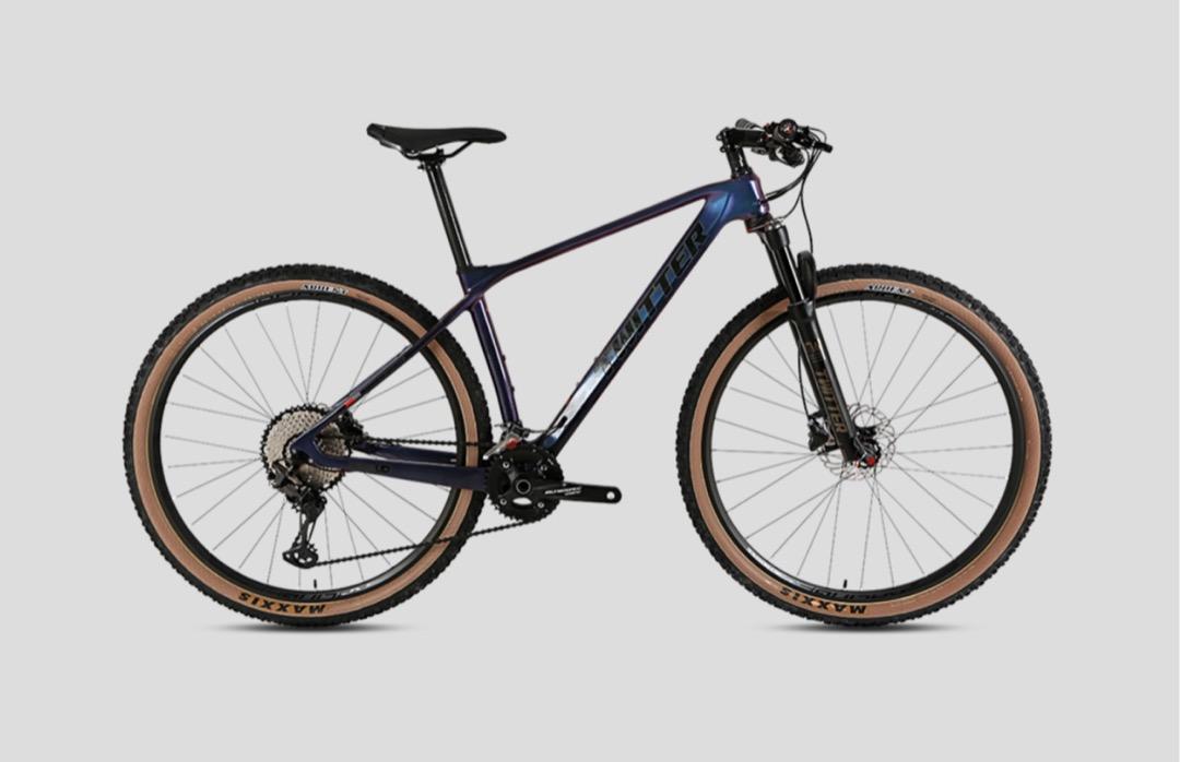 Twitter predator 29er online