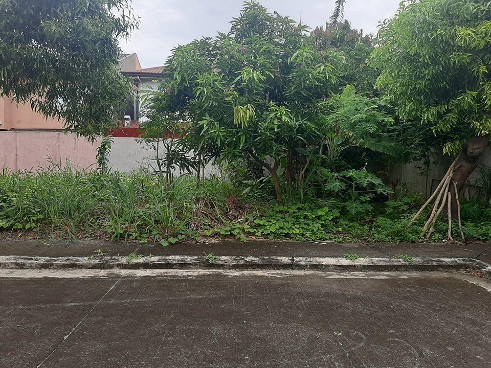 192sqm Residential Lot Villa Caceres in Sta Rosa, Laguna, Property