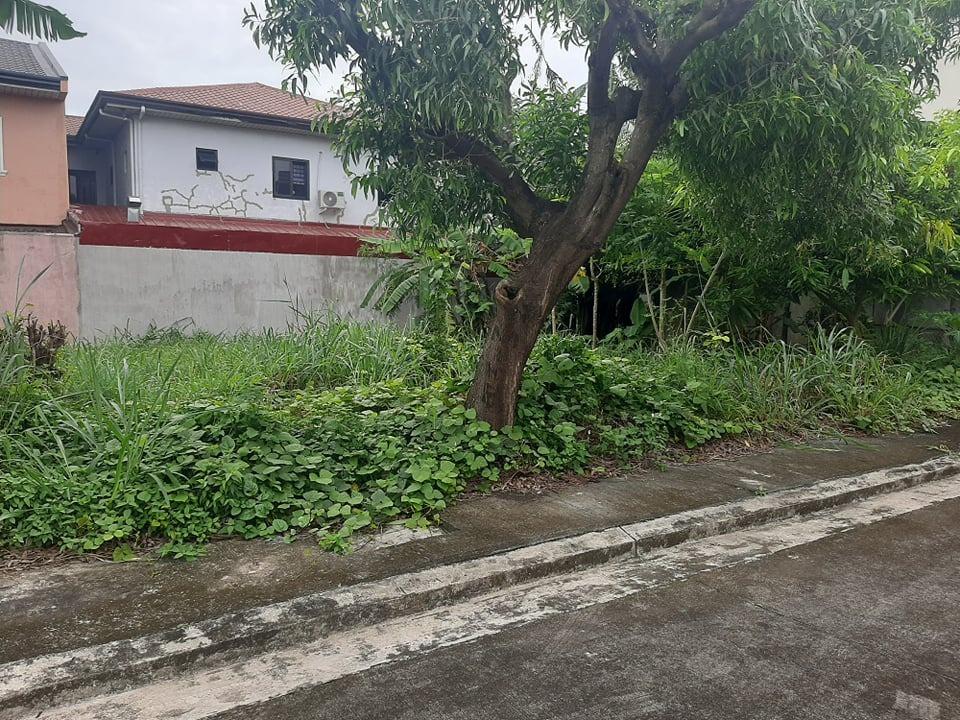 192sqm Residential Lot Villa Caceres in Sta Rosa, Laguna, Property