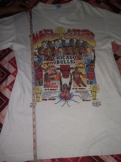 1993 Chicago bulls championship tshirt