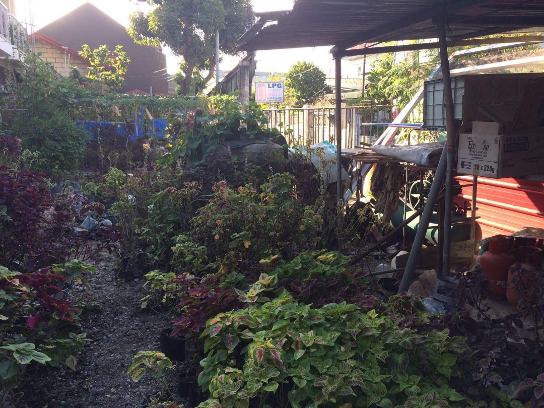 215 SQM LOT FOR SALE! Located at Gapan City, Nueva Ecija (RUSH