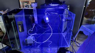 (Category: ) located in . Submitted by wong1806 (Listing ID 1182163720, Image 1). Description: .
