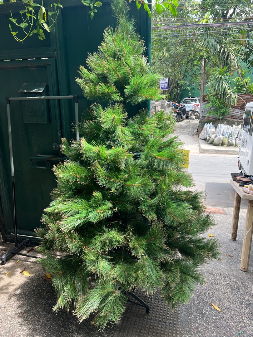 6 ft Christmas Tree, Furniture & Home Living, Home Decor, Other Home