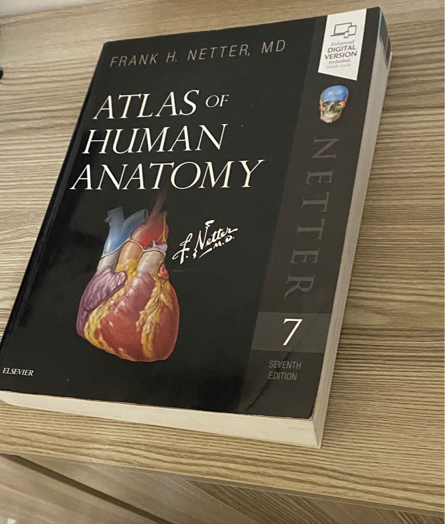 Atlas of Human Anatomy (Netter), Hobbies & Toys, Books & Magazines ...