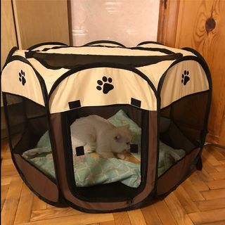(Category: ) located in . Submitted by raybun__ (Listing ID 1182144690, Image 1). Description: .