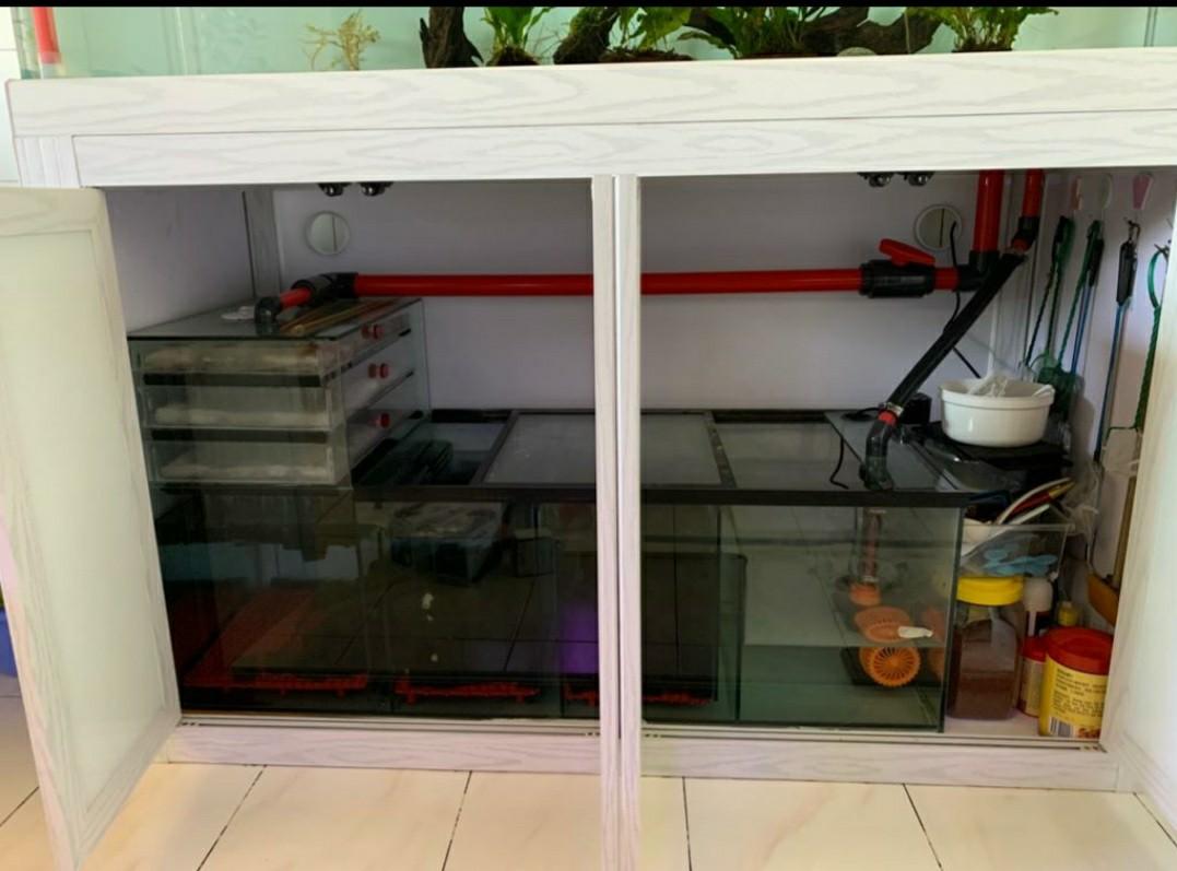 Custom Built Fish Tank With Cabinet & Sump System, Pet Supplies, Homes ...