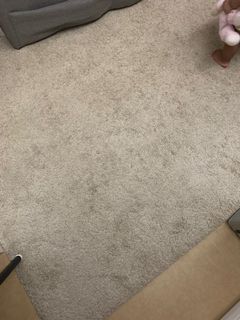 （分類：）位於 。 由 oats. 提交（商品編號 1182215523，圖片 1）。簡介： 。