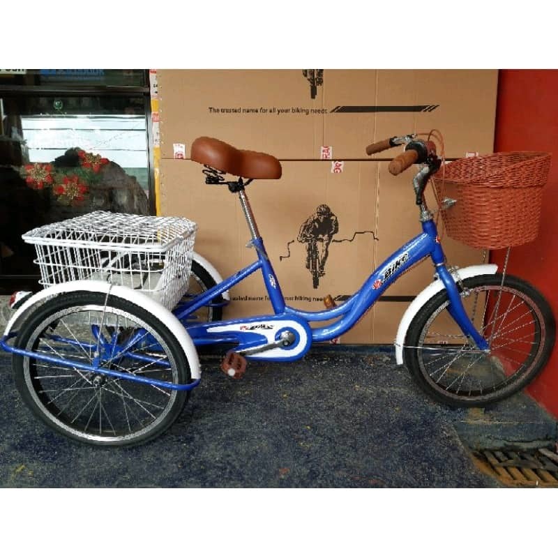 (METRO MANILA AND NEARBY AREAS) Three Wheel Bike Bicycle TriBike 3 Wheels Cargo Bike Korean