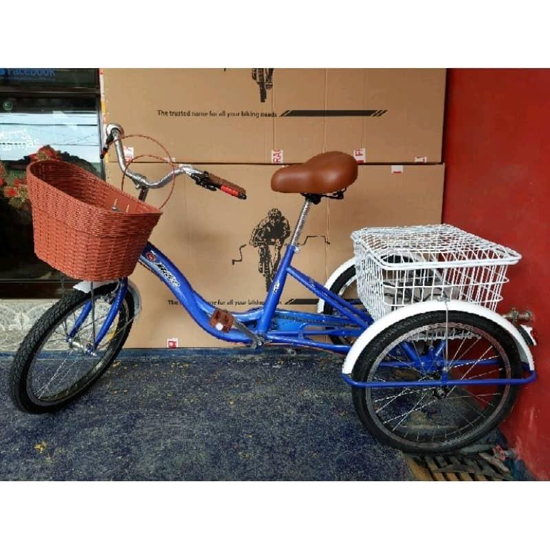 (METRO MANILA AND NEARBY AREAS) Three Wheel Bike Bicycle TriBike 3 Wheels Cargo Bike Korean