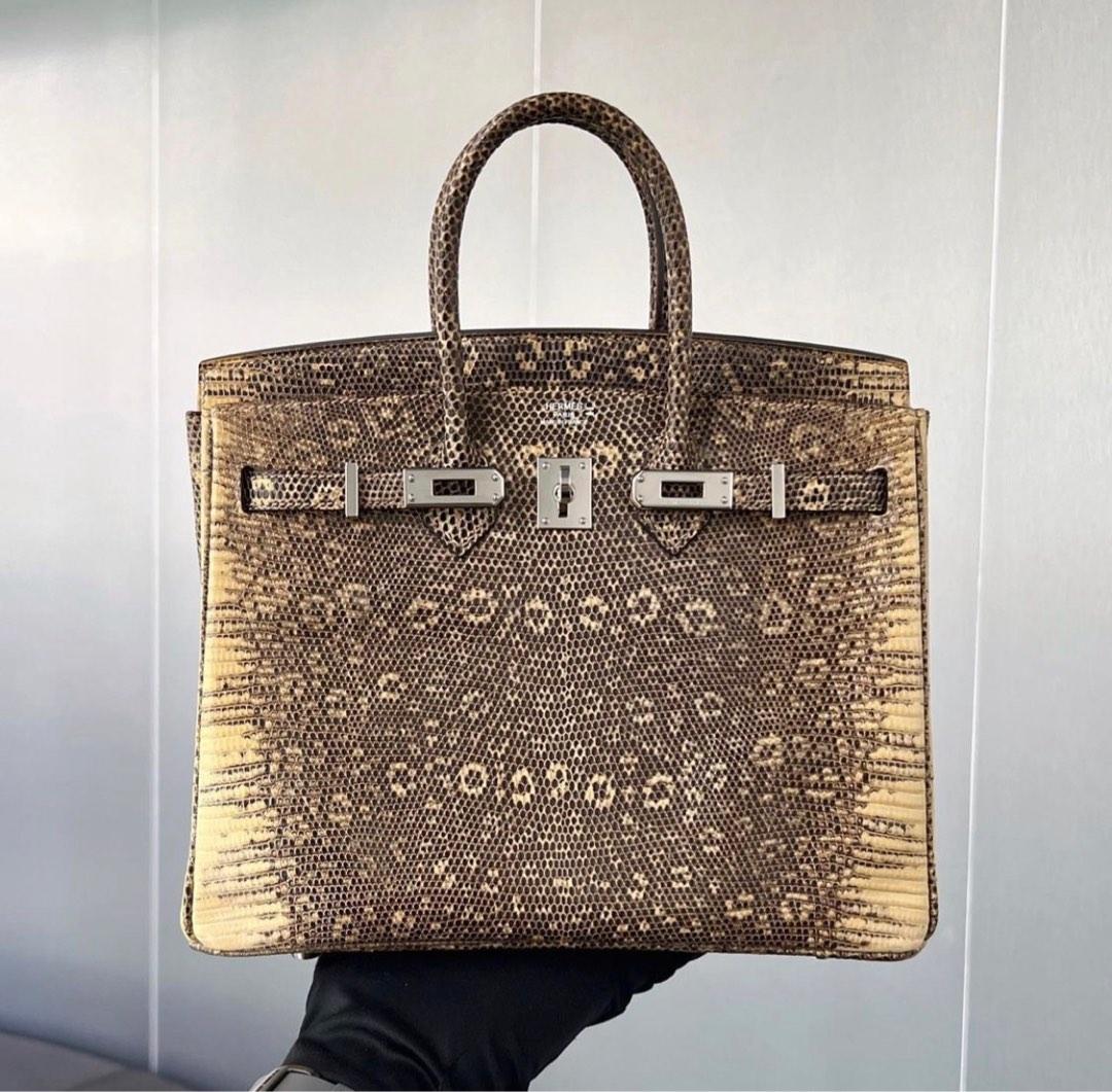 Hermes Birkin 25 Handbag Ombre Lizard SHW