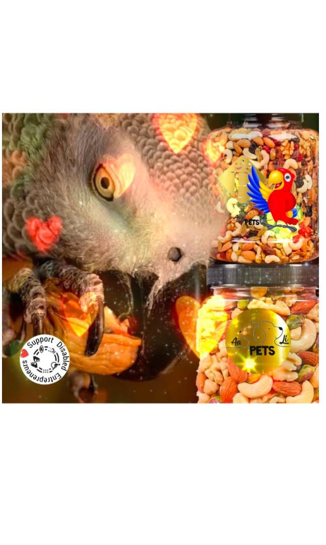 Parrot Treats, Pet Supplies, Pet Food on Carousell