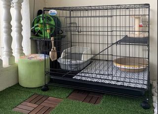 (Category: ) located in . Submitted by Clarasellinggoods (Listing ID 1182124185, Image 1). Description: .