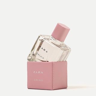 由 ___chuchu___ (刊登 ID 1183928881，圖片 1) 提交，位於 的 (類別：)，說明：。