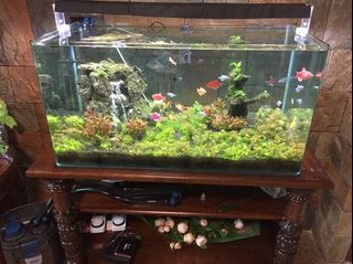 (Category: ) located in . Submitted by highflyr (Listing ID 1183291869, Image 1). Description: .
