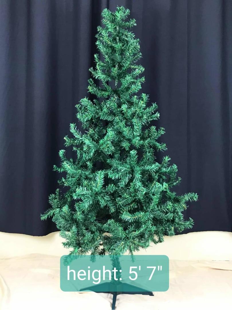 Christmas Tree 5 feet 7 inches (Category: Other Home Decor) located in Caloocan City. Submitted by grace47974 (Listing ID 1184064776, Image 1). Description: Christmas Tree 5 feet 7 inches.