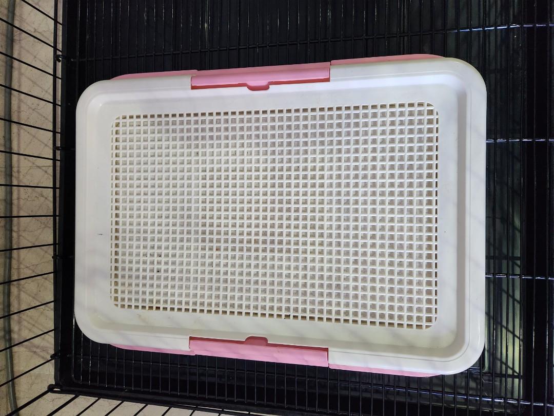 Dog cage with pee tray and drinking kettle, Pet Supplies, Homes & Other