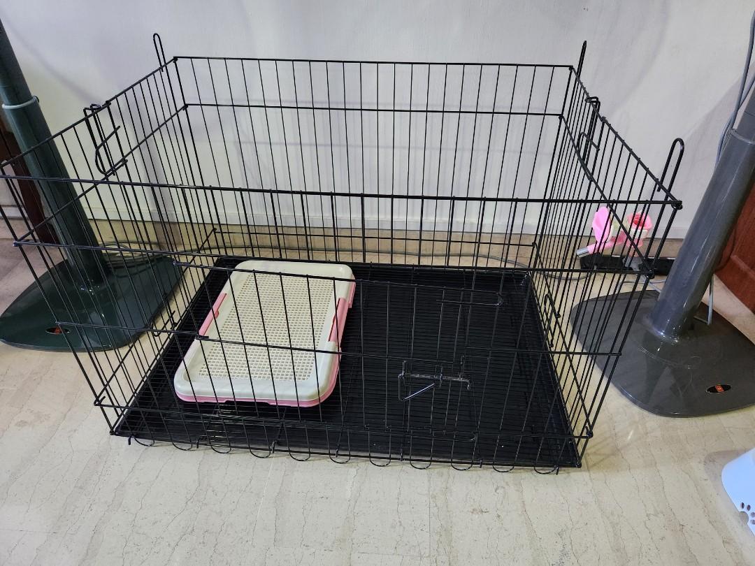 Dog cage with pee tray and drinking kettle, Pet Supplies, Homes & Other