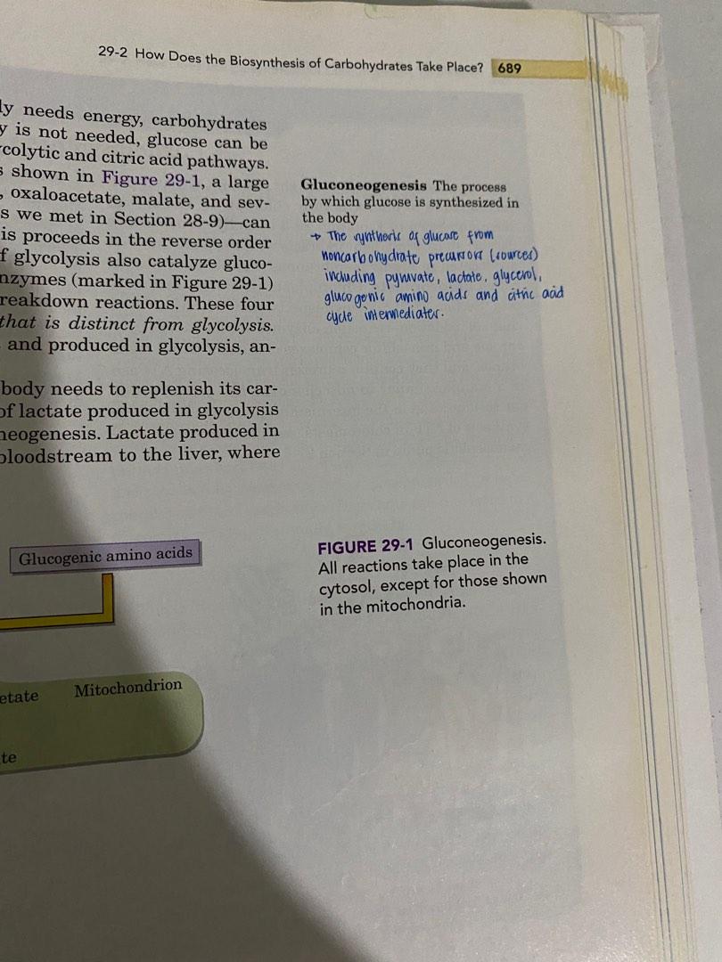 Introduction to General, Organic, and Biochemistry (Category: Textbooks) located in Manila. Submitted by rekyv (Listing ID 1184031932, Image 3). Description: - Bought directly from C&E for ₱2,400 - with notes and minimal highlights on 3 pages (see pics) - price is negotiable.