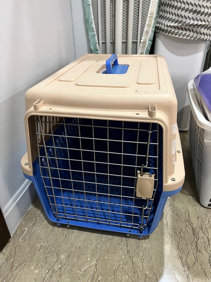 Medium size dog crate for airline, Pet Supplies, Homes & Other Pet