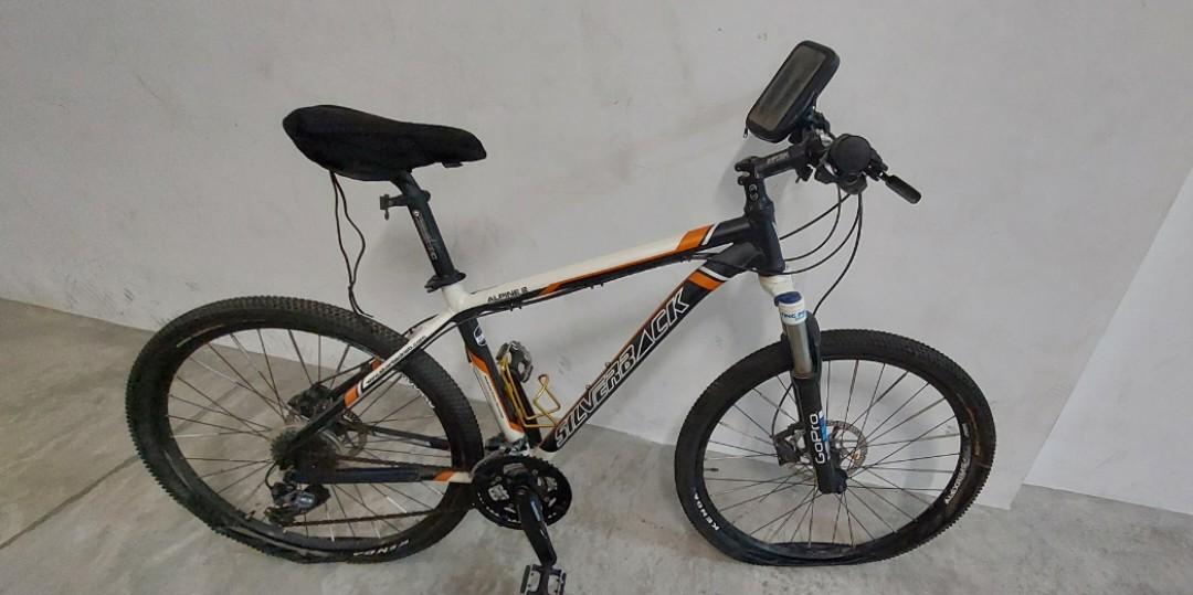 Alpine silverback top mountain bike