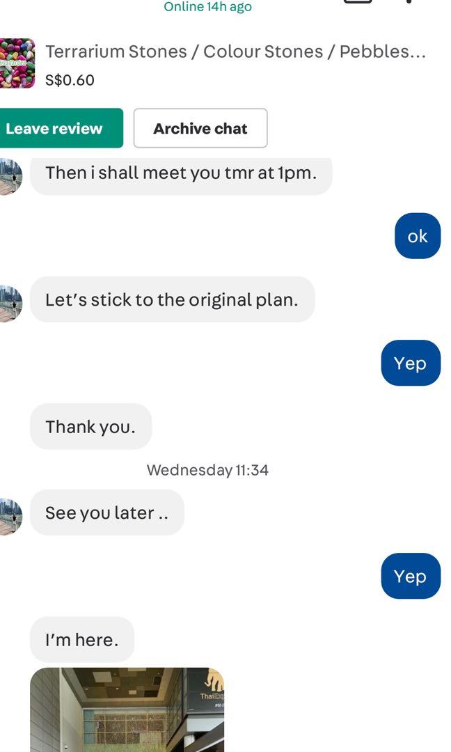 Terrarium Stones / Colour Stones / Pebbles for garden (succulent