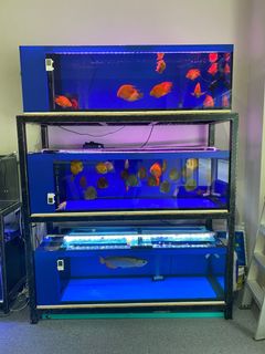 (Category: ) located in . Submitted by roger_ks (Listing ID 1184173692, Image 1). Description: .