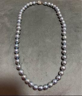 Akoya Choker Pearl (Bluish Gray Color)