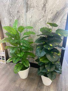 Artificial plants