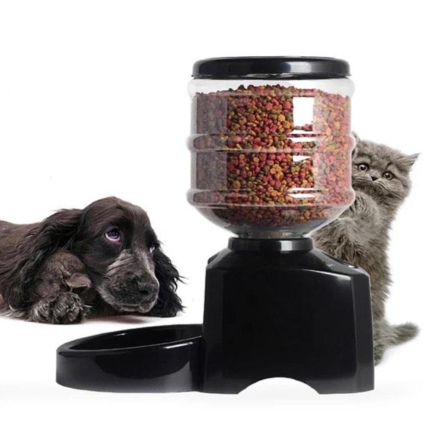 Perfect pet shop dinner automatic feeder