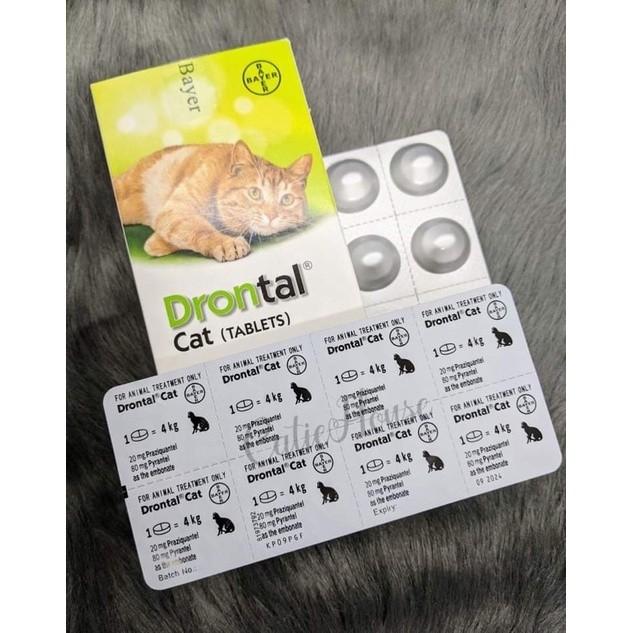 Bayer praziquantel clearance for cats