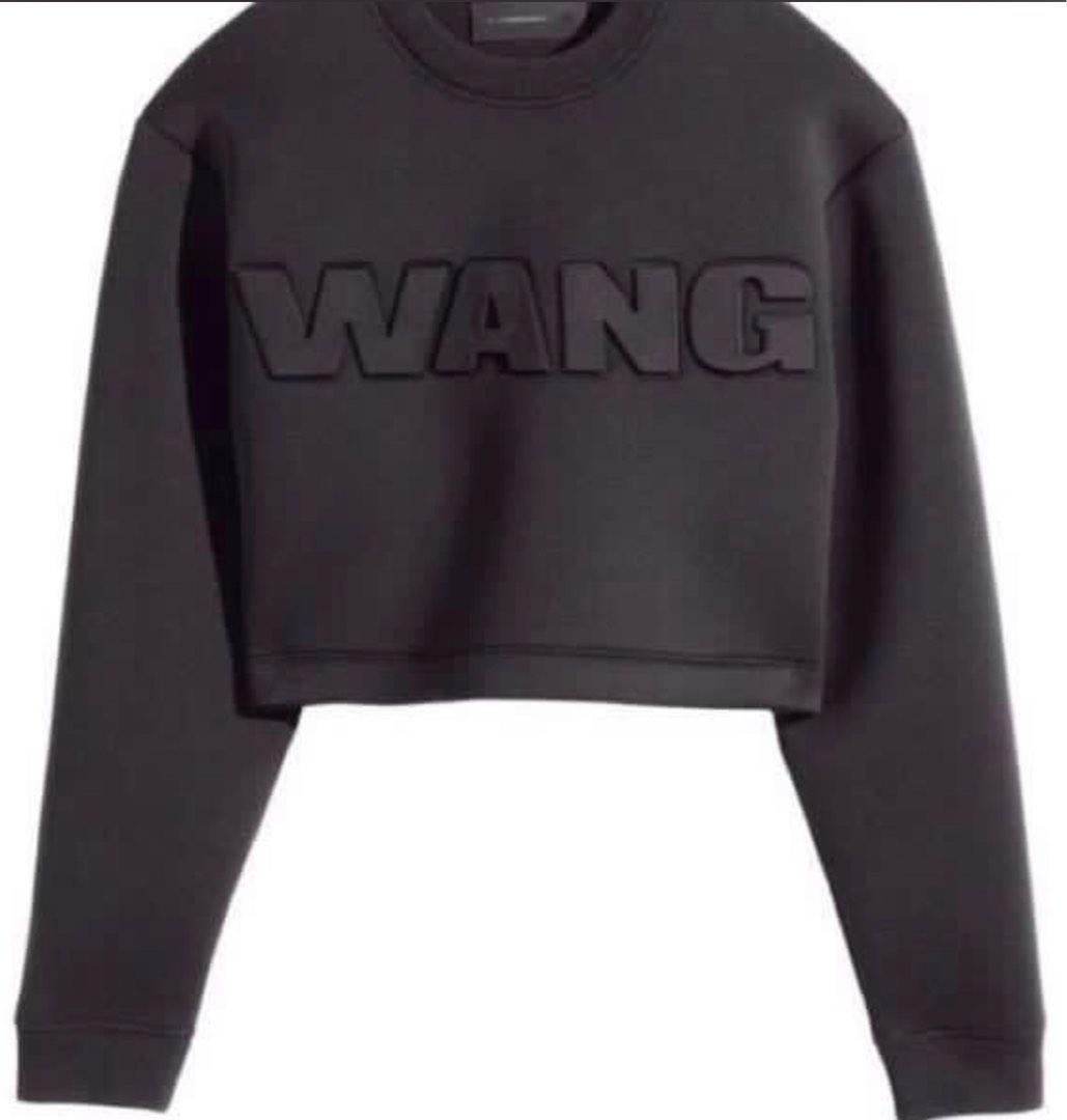Alexander wang h&m scuba sweatshirt online