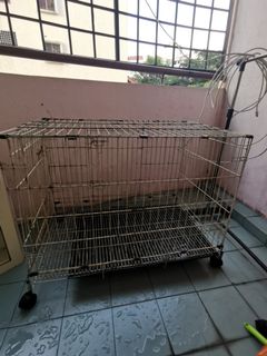 (Category: ) located in . Submitted by Valenciaga22 (Listing ID 1184166455, Image 1). Description: .